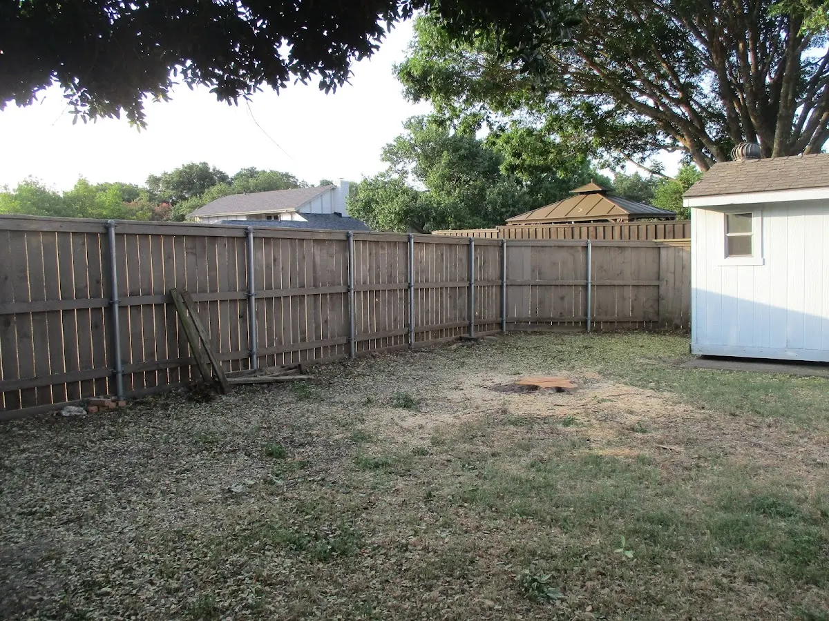 Cleared yard after professional tree removal in Pedro