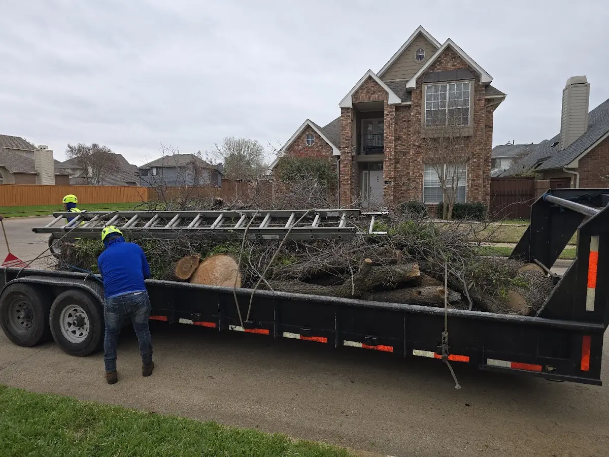 Expert Lot Clearing with proper safety equipment in Pedro